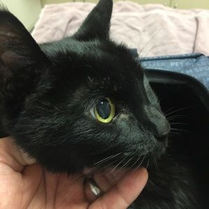 Meet your Posher, Glenn